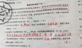 怎么组词三年级上册语文 三年级上册语文复习